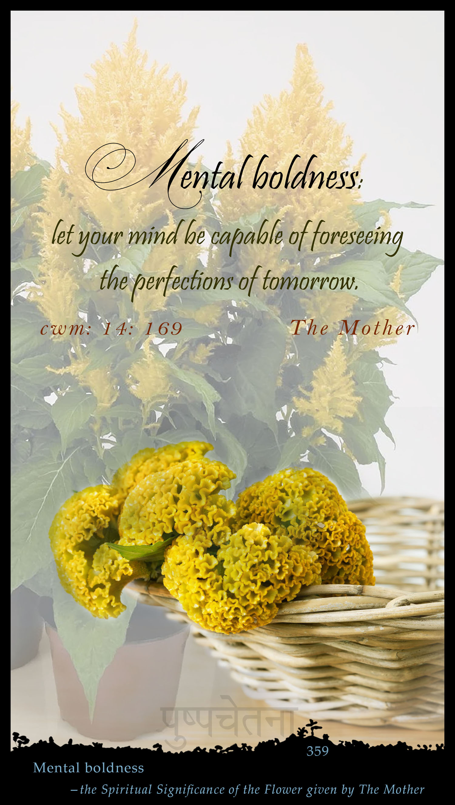 Mental Boldness